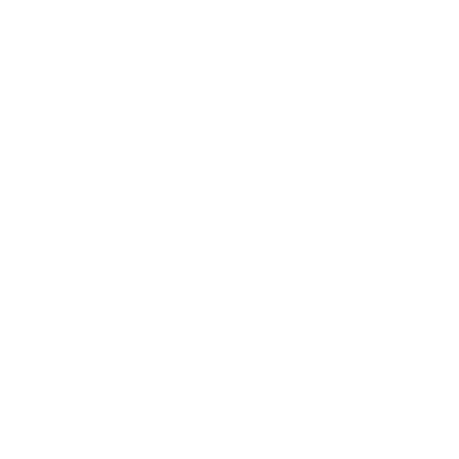 Executive Coaching & Leadership Development