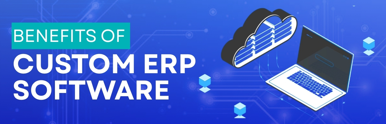 Role of Custom ERP Software in Business Growth